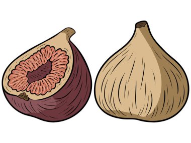 Kurutulmuş incirler tatlı sağlıklı atıştırmalıklar beyaz arka planda izole edilmiş vektör çizimleri