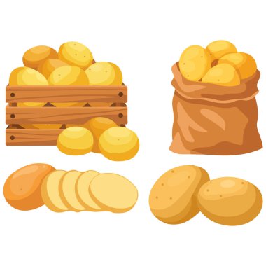 Patates ürünleri beyaz arkaplanda izole vektör çizimi oluşturdu