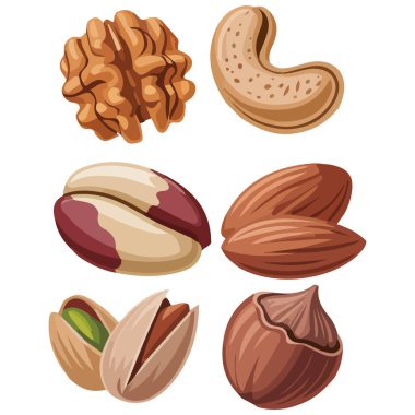 Çeşit çeşit fındık koleksiyonu badem cevizli ceviz cevizli fındık fıstıklı macadamia fındıklı fındık fındıklı beyaz arka planda izole edilmiş vektör çizimi