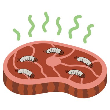 Kurtçuk solucanları beyaz böcek tırtıllar yemek izole vektör çizimi beyaz arka plan