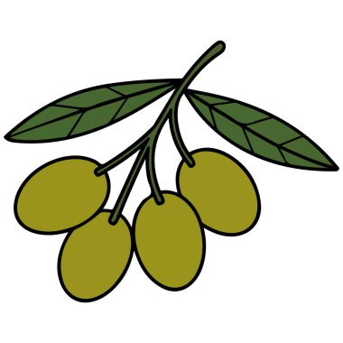 Hand drawn cartoon branch olive green leaves isolated vector illustration on white background