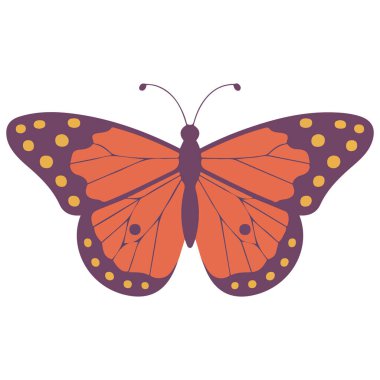 Yaz kelebeği düz ikon vektör çizimi izole edilmiş beyaz arkaplan