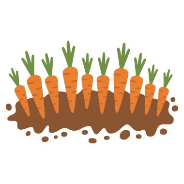 Beyaz arka planda olgun havuç vektör illüstrasyonlu çizgi film bahçesi yatağı.