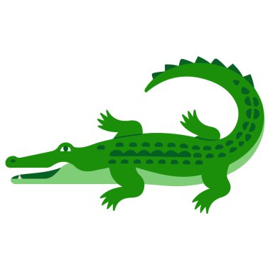 Beyaz arkaplanda düz bir timsahın vektör çizimi