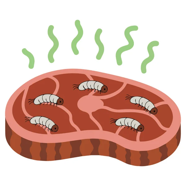 Maggot worms white insect caterpillars meal isolated vector illustration on white background