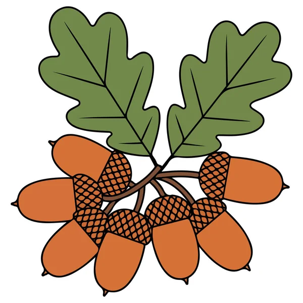 Orman bitkisel meşe palamudu beyaz arkaplanda izole edilmiş vektör çizimi bırakır