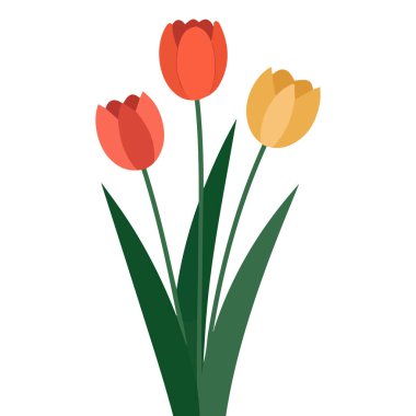 El çizimi laleler bahar çiçekleri çiçek yeşil yapraklar çok renkli botanik elementler.