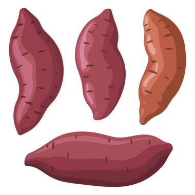 Tatlı patates fırınlanmış el çizimleri beyaz arkaplanda izole edilmiş bir vektör oluşturdu