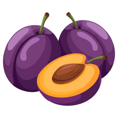 Beyaz arkaplanda izole edilmiş vektör illüstrasyonlu taze koyu mor erikler