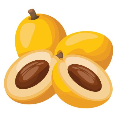 Yeşil yapraklı lokuat meyvesi beyaz arkaplanda izole edilmiş vektör çizimi