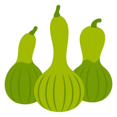 Beyaz arkaplanda şişe kabağı düz tasarımı izole vektör çizimi