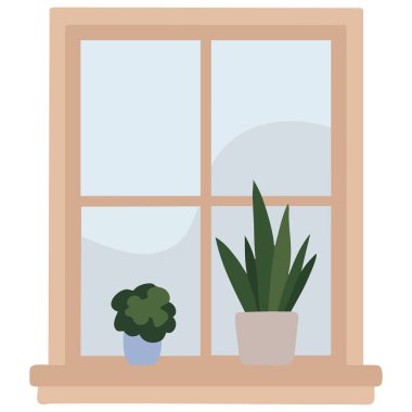  Güneşli bir pencere pervazında saksıda duran ev bitkileri