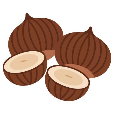 Düz beyaz arkaplan vektör illüstrasyonunda izole edilmiş kestane koleksiyonu