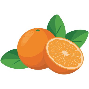 Citrus mandarin meyvesi bütün ve yaprak vektör çizimi ile soyulmuş