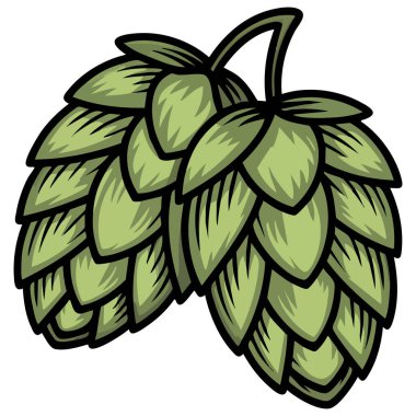 Bira fabrikası tasarımı için yapraklı koni beyaz arkaplanda izole edilmiş vektör çizimi