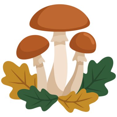 Sonbahar mantarı beyaz arkaplanda izole edilmiş vektör çizimi bırakır