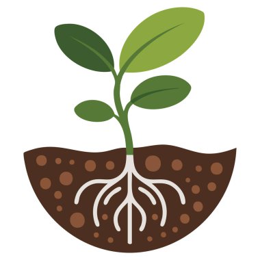 Stylized plant sprout with bold outlines green leaves vector illustration