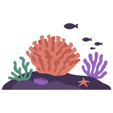 Deniz yaşamı ve deniz bitkileriyle renkli mercan resifleri