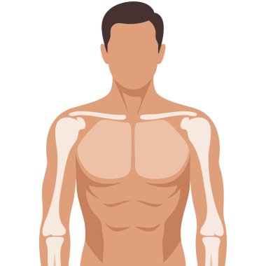 Beyaz arkaplanda izole edilmiş klasik hazine sandık vektör çizimi