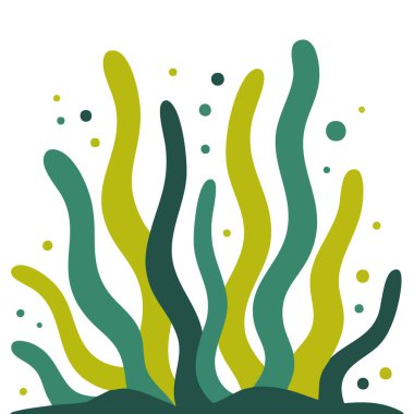 Okyanus bitkisi, beyaz arkaplanda izole edilmiş basit bir sanat vektörü.