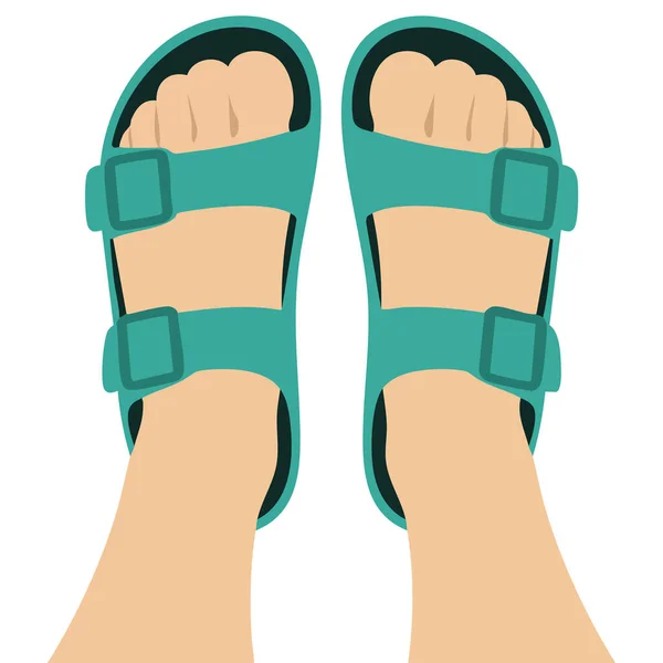 Çoraplı ve sandaletli ayaklar beyaz arkaplanda izole edilmiş vektör çizimi