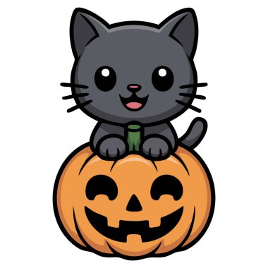 Beyaz arkaplanda kabak tasarımı izole edilmiş vektör çizimi olan Cadılar Bayramı kara kedisi