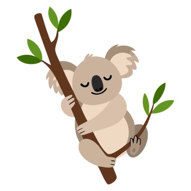 Koala tırmanma ağaç hayvan karakteri çizgi film beyaz arka planda izole vektör illüstrasyon