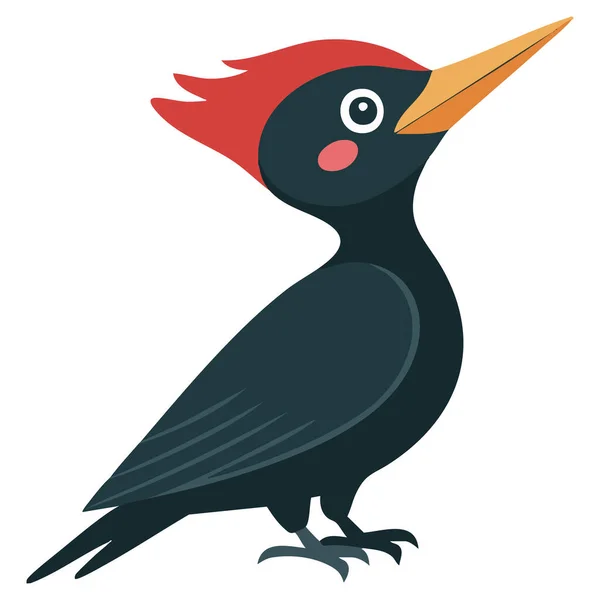 Ağaçkakan kuş türü kraliyet ağaçkakanı izole edilmiş vektör çizimi