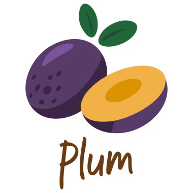 Yapraklı erik meyvesi, el çizimi çizimi, düz vektör yemek şablonu, mönü kreş etiketi logosu için.