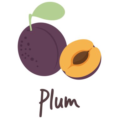 Elle çizilmiş erik meyvesi çizimi ve yapraklar düz vektör besin şablonu bebek odası tasarımı