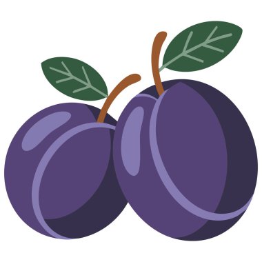 taze ve kurutulmuş erik ikonu vektör erik ikonu beyaz zemin üzerinde izole edilmiş ve yarım erik