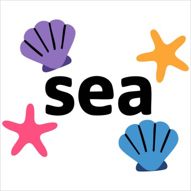 Denizyıldızı deniz kabuğu okyanus vektör çizimi beyaz arkaplanda izole