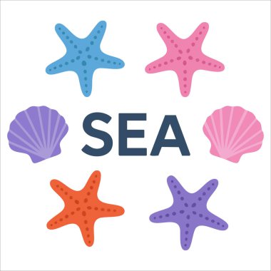 Deniz kabuğu deniz yıldızı arka plan çizimi beyaz arkaplanda izole edildi