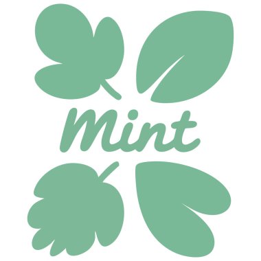 Beyaz arkaplan vektör illüstrasyonunda izole nane yapraklı nane simgesi seti