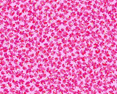 Vizyon çiçeğinin deseni