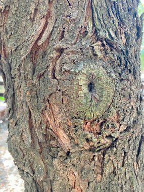 Eski paslı metal çitler