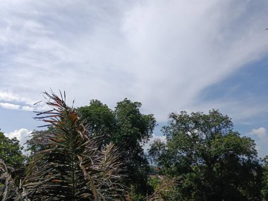 Parkın güzel manzarası