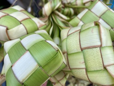 yeşil yapraklar, bitki örtüsü ve doğa