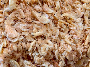 kurutulmuş kalamar yakın çekim