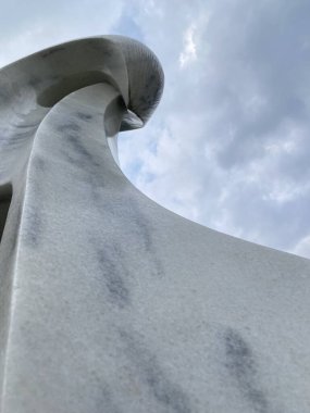 Mavi arka planı olan siyah ve beyaz bir kuşun yakın plan çekimi.