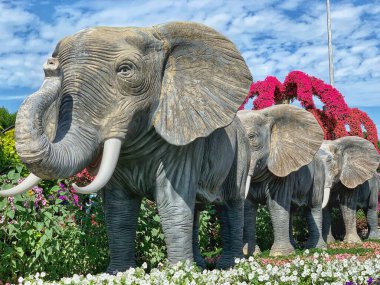 Çiçek bahçesi. Güneşli bir gün. Fil heykeli. Üç Fil. Fil gibi neşeli. Parkta.