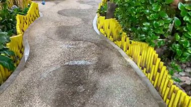 Bahçede mavi bir kelebek uçuyor. Mavi kelebekler. Kelebek bahçesi. Yeşil bahçedeki güzel kelebek.