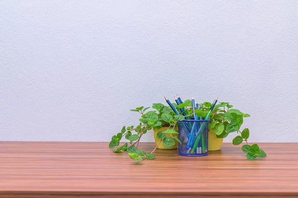 Lápices Bolígrafos Árboles Están Escritorio — Foto de Stock