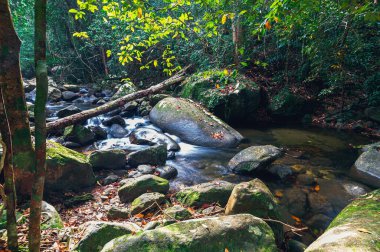 Seyahat konsepti: Khao Chamao Şelalesi Ulusal Parkı Aşk Parkı