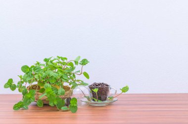 Ampuller ve kahve çekirdekleri masada.