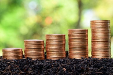 Güneş ışığıyla büyüyen para yığını grafiği bokeh arkaplan, yatırım kavramı. İş Finans ve Tasarruf Parası kavramı