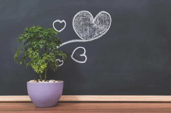 Plant pots and heart shapes on the blackboard