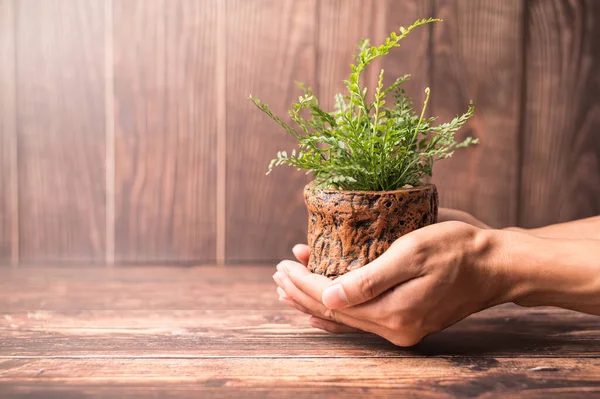 Dia Mundial Meio Ambiente Ame Mundo Mão Segurando Vaso Plantas — Fotografia de Stock