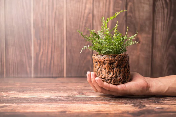 World Environment Day Love World Hand Holding Plant Pot — Stock Photo, Image