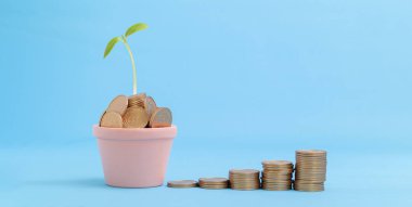 Hisse senedi yatırımları birikmiş paraları toplar